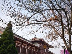-西安青龙寺遗址景区