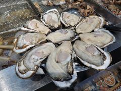 -77号渔船·蒸海鲜青岛菜(积米崖店)