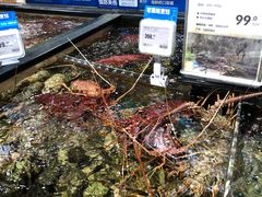 -盒马鲜生(皇庭广场店)