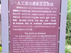-成都市活水公园