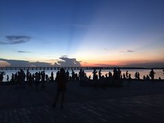 -宝安西湾红树林湿地公园