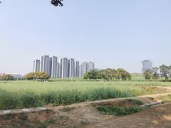 -光明小镇欢乐田园