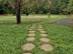 -黑龙江省森林植物园