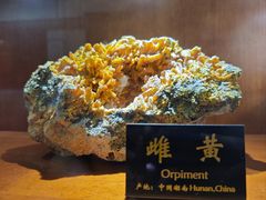 -青岛德国总督楼旧址博物馆