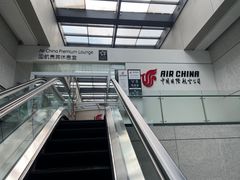 -虹桥机场国航贵宾室v8