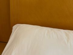-维也纳酒店(南京奥体中心店)