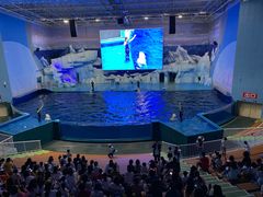 -福州罗源湾海洋世界旅游区