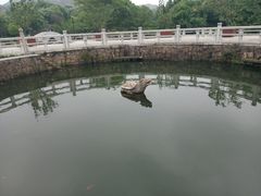 -白马涧龙池景区