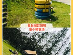 -前小桔亲子创意农场·草莓采摘·露营烧烤