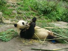 碧峰峡-碧峰峡风景区