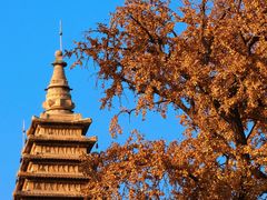 -北京石刻艺术博物馆(五塔寺)