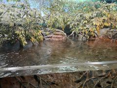 -上海海洋水族馆