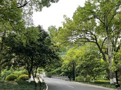 -杭州花家山庄