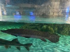 -常州海昌海洋探索馆