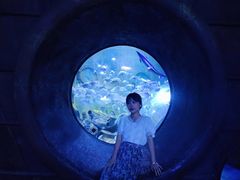 -成都浩海立方海洋公园