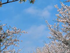 -智慧湾科创园