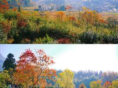 -塔川景区