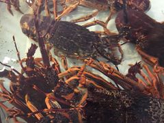 -万龙洲海鲜(大兴绿地缤纷城店)