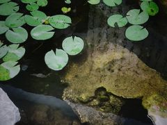 -丫丫蟹庄·苏式园林农家乐·阳澄湖大闸蟹(阳澄湖莲花岛店)