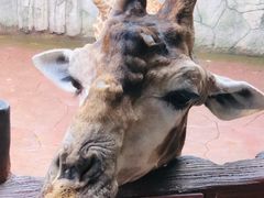 -长鹿旅游休博园