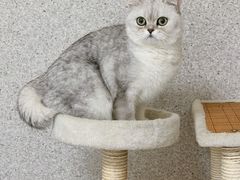 -谐和贝康宠物医院24小时·宠保定点(急重症转诊中心)