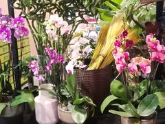 -7fresh七鲜(大族广场店)