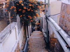 -观象山公园