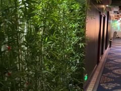 -尊足养生·影院足道·主题spa·采耳(浦江店)