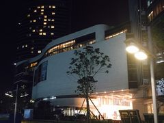 -演武大桥观景平台