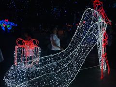 -哈尔滨文化公园