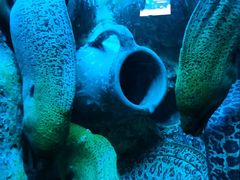 -太平洋海底世界