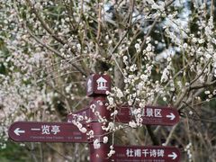 -成都杜甫草堂博物馆