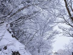 -华山风景名胜区