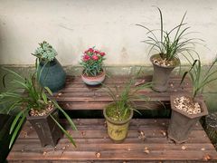 -重庆工商大学(南岸校区)