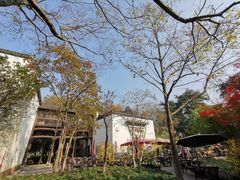 -闻莺馆(柳浪闻莺店)
