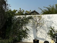 -白鹭湾湿地公园