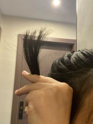 -SalonRivelin 沙龙瑞菱