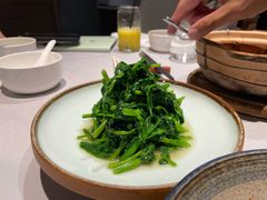 清炒鸡毛菜-屋里厢上海菜馆