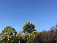 -艾溪湖湿地公园