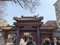 -桃花堤公园
