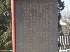 -桃花堤公园