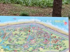 -上海滨江森林公园