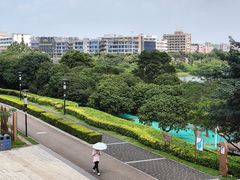 -立新湖公园