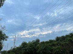 -鲜芋仙(高新益田假日里店)
