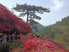 -木兰云雾山