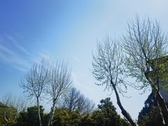 -浙江大学(玉泉校区)