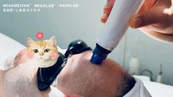 -韩国淼美颜皮肤管理官方直营店