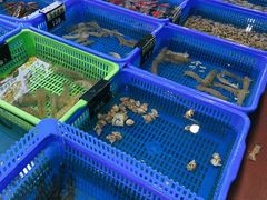 -七鲜渔港美食餐厅(巽寮湾海景店)