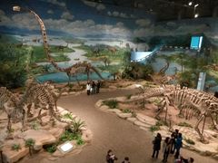 -自贡恐龙博物馆