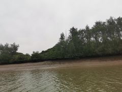 -东寨港红树林旅游区